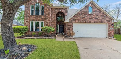 17550 Forest Vine Court, Tomball
