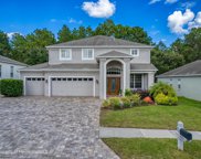 14873 Edgemere Drive, Spring Hill image