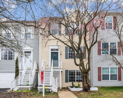 527 Blacksburg Ter Ne, Leesburg