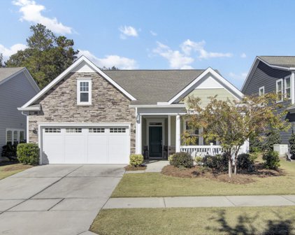 3034 Cross Vine Lane, Summerville