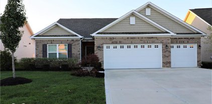 14143 Stoney Shore Avenue, Mccordsville