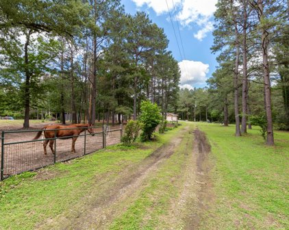 25316 Deepwood Drive, Magnolia