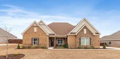 668 Charleston Mills Drive, Midland City