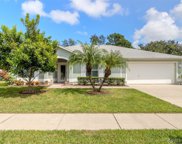 515 Old Minorcan Trail, New Smyrna Beach image