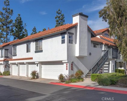 41 Celosia, Rancho Santa Margarita