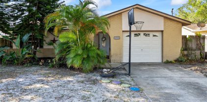 6910 71st Avenue N, Pinellas Park