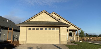 1632 Salmonberry St, Dallas
