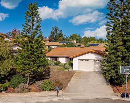 966 La Rue Ave, Fallbrook