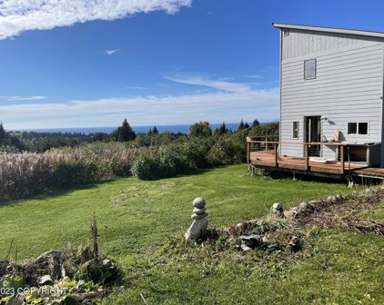 41236 Volcano View Court and 41242 Volcano View, Homer