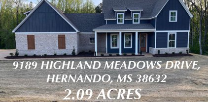 9189 Highland Meadows Drive, Hernando