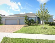 1236 Cavender Creek Road, Minneola image