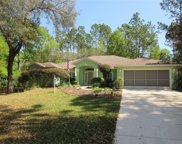 18127 Sw 73rd Loop, Dunnellon image