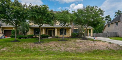 2147 Barton Woods Boulevard, Conroe