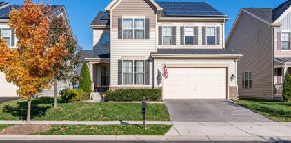 8158 Ridgely   Loop, Severn