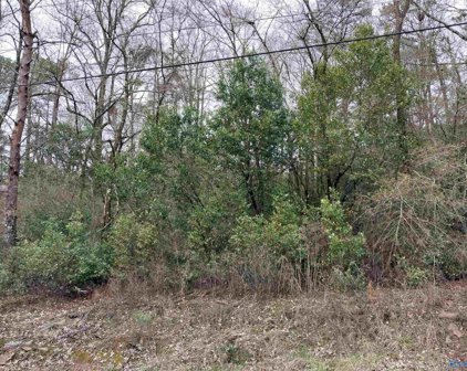 Shannon Drive, Gadsden