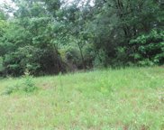 911 Red Fox Court, Cataula image
