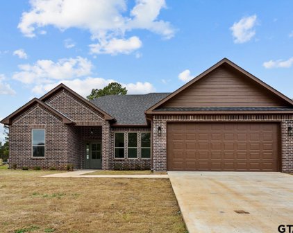 17089 County Road 2282, Troup