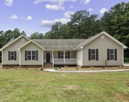 719 Sam Koon Rd, Chapin image