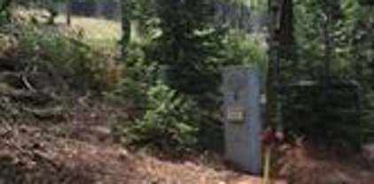 1485 Kings Crown Road, Woodland Park
