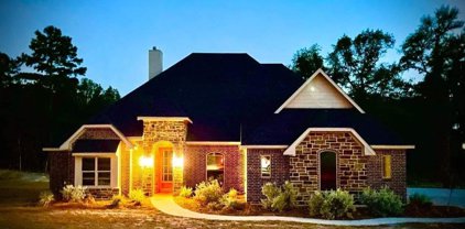 234 CR 2309, Mineola