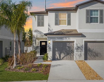 10454 Shady Preserve Drive, Riverview