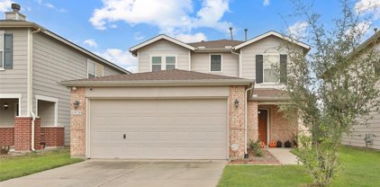 19530 Bold River Road, Tomball