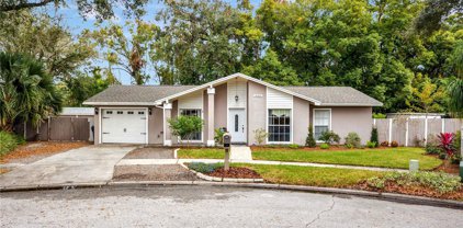 14963 Old Pointe Road, Tampa