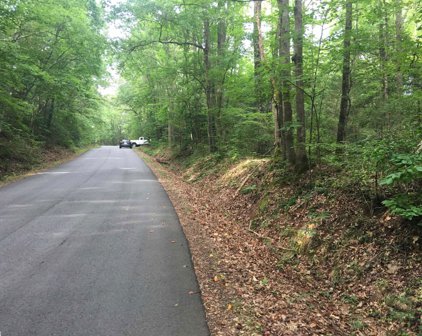 Chapman Road, Pelzer