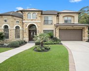 13502 Cascade Caverns Court, Houston image