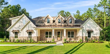 10789 Ruger Road, Willis