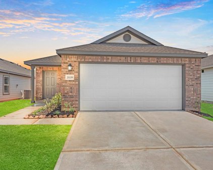 25475 Blue Mistflower, Montgomery