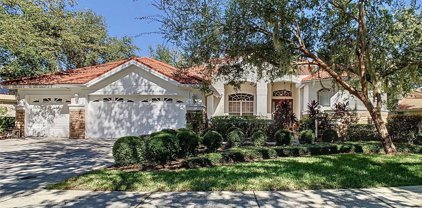 10242 Estuary Drive, Tampa