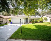 3940 Tarpon Pointe Circle, Palm Harbor image