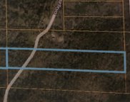 s13-t19-r06 Onaga, Hardy image