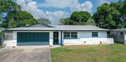 1411 Chandler Avenue, Clearwater