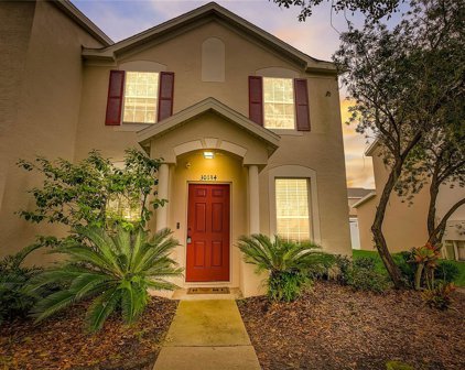 30134 Barnaby Lane, Wesley Chapel