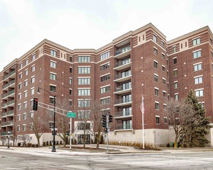 201 N Vail Avenue Unit #206, Arlington Heights