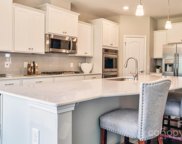 TBD Lookout Shoals  Drive Unit #333, Fort Mill image