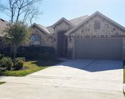 23422 Banksia Drive, New Caney image