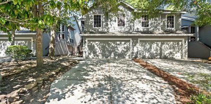 218 Blushwood Place, The Woodlands