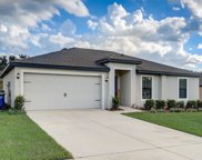 1868 Piedmont Court, Mascotte image