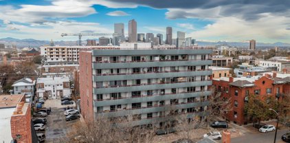 1441 N Humboldt Street Unit 307, Denver