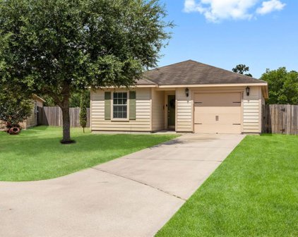 28815 Concho River Court, Spring