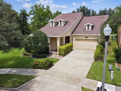 14363 Red Cardinal Court, Windermere