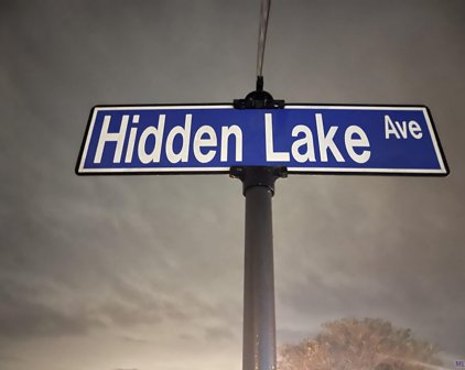 #72 Hidden Lake Ave, Zachary
