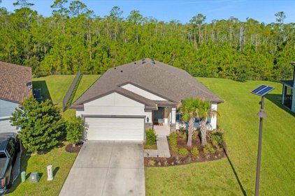 17477 Butterfly Pea Court, Clermont