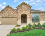 244 Spotted Saddle Court, The Woodlands image
