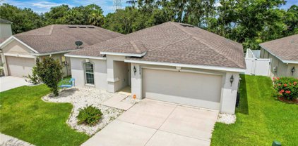 12218 Ledbury Commons Drive, Gibsonton
