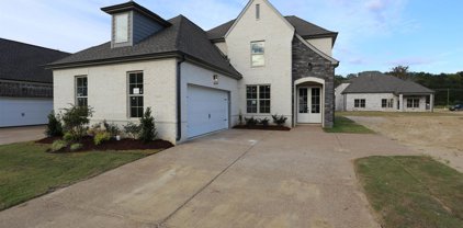 571 Beau View Way, Cordova