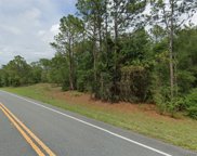 13285 S Florida Avenue, Floral City image